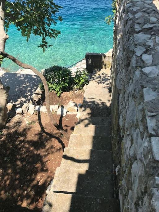 Seafront Vacation 