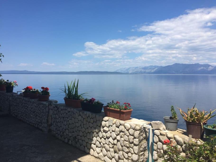 Casa vacanze Seafront Vacation 