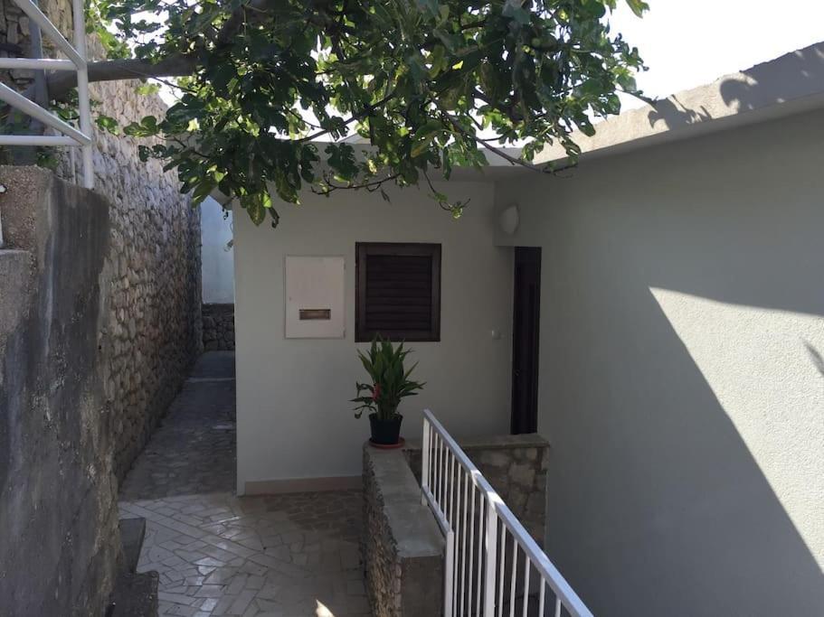 Casa vacanze Seafront Vacation 