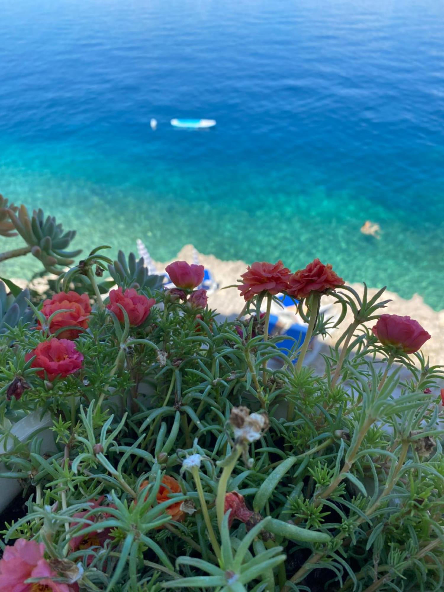Casa vacanze Seafront Vacation 