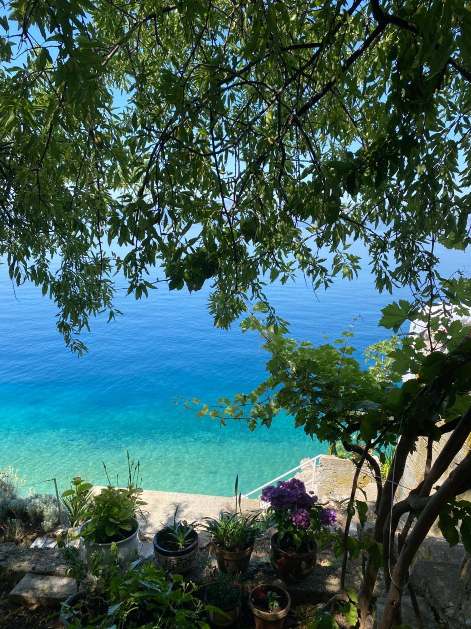 Počitniška hiša Seafront Vacation 
