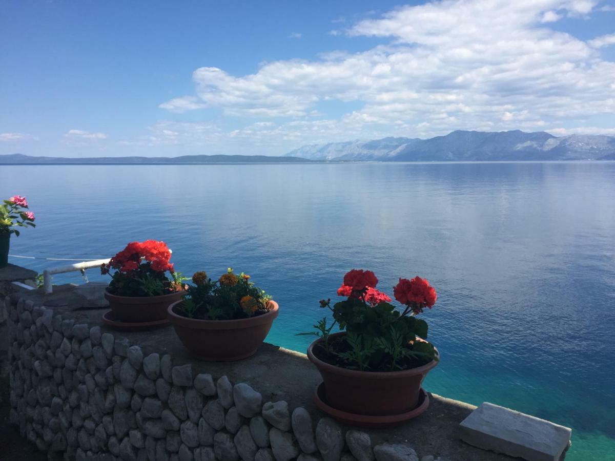 Seafront Vacation 