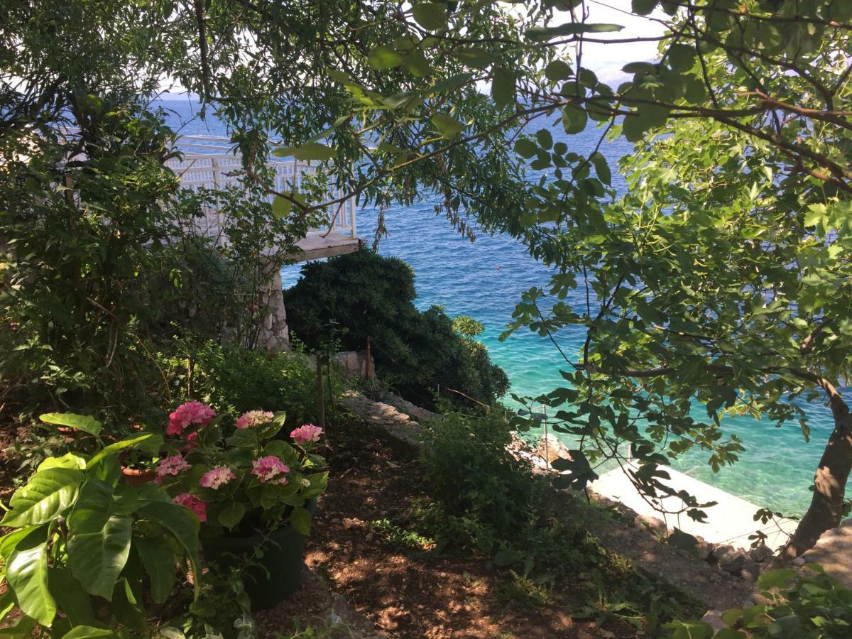 Seafront Vacation 